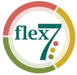 Flex 7